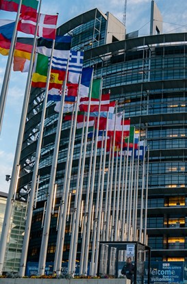 Cosa fanno i parlamentari europei?