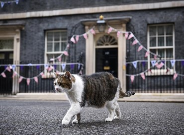 Boris Johnson affronta il voto di sfiducia