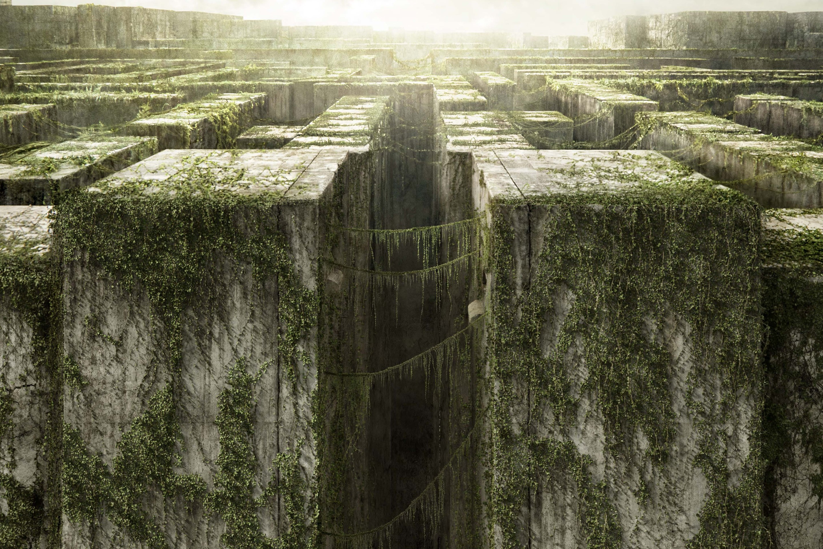 Burocrazia e infallibilità