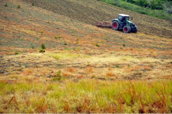 La Conferenza Ifad 2022, l’innovazione e i sistemi alimentari 