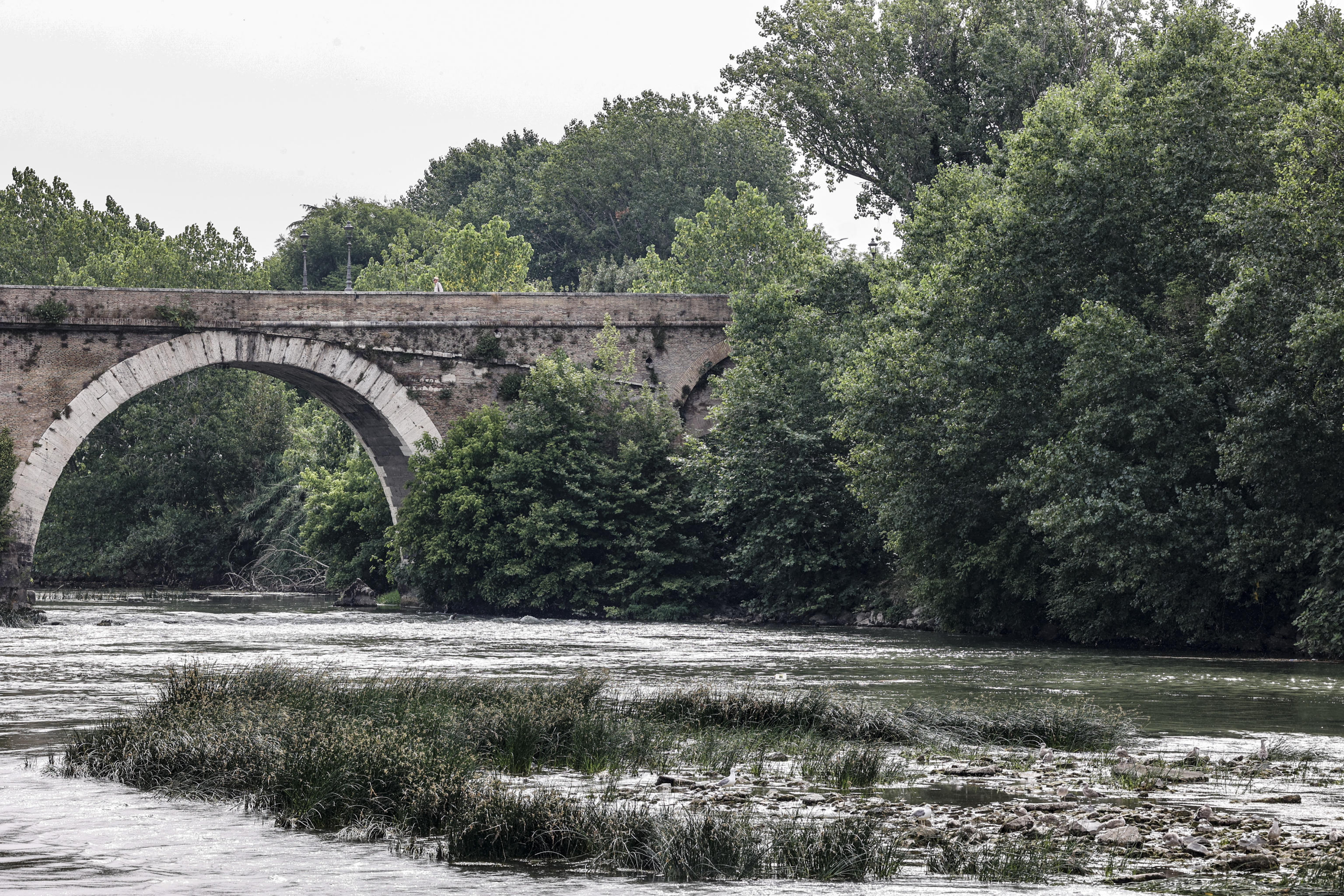 Care, scarse e dolci acque