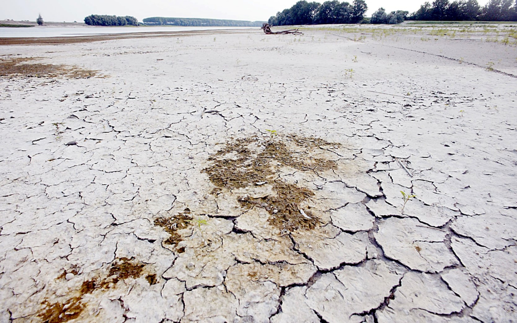 Investimenti e strumenti per combattere la siccità