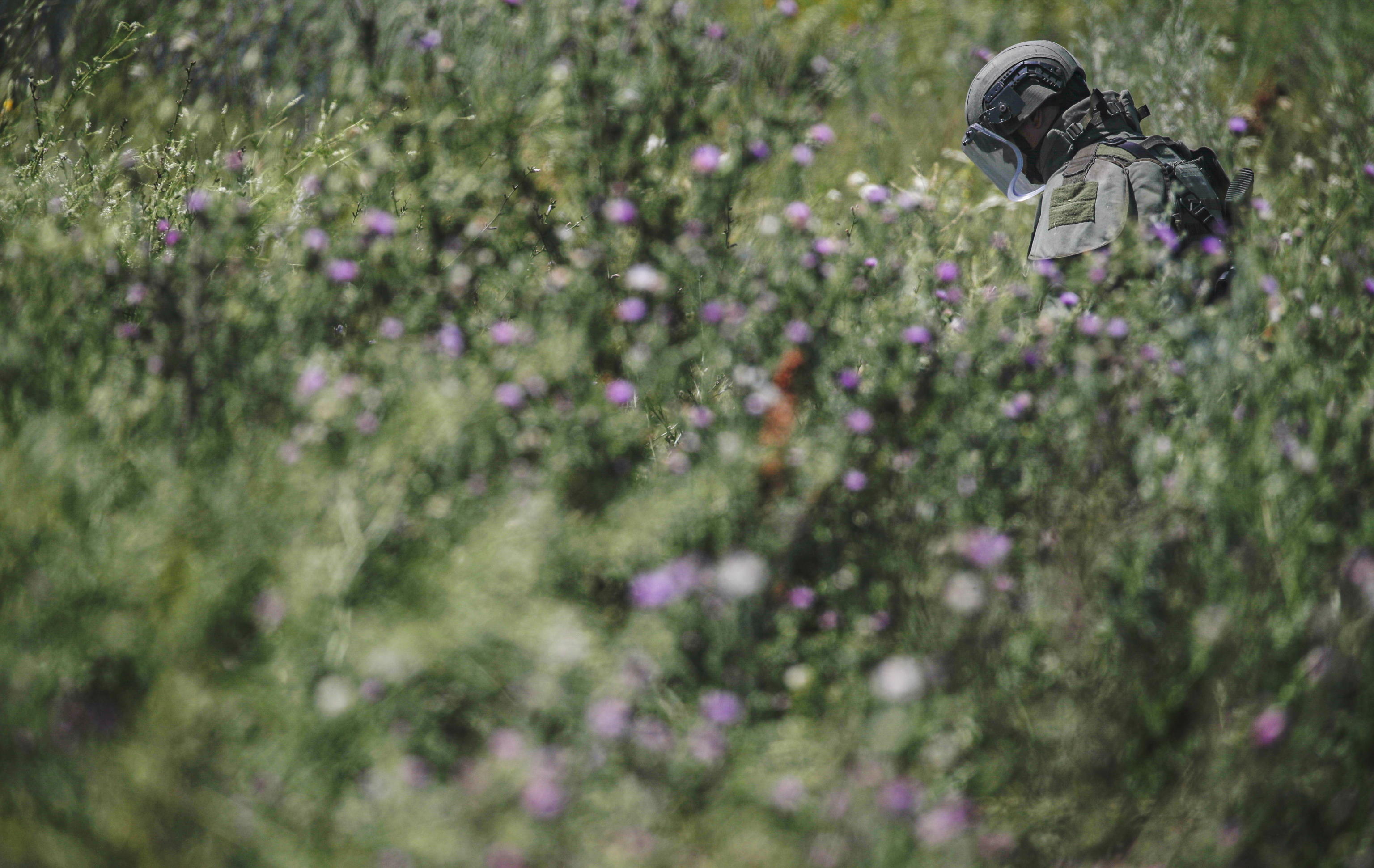 Ucraina, “la situazione alimentare peggiora”