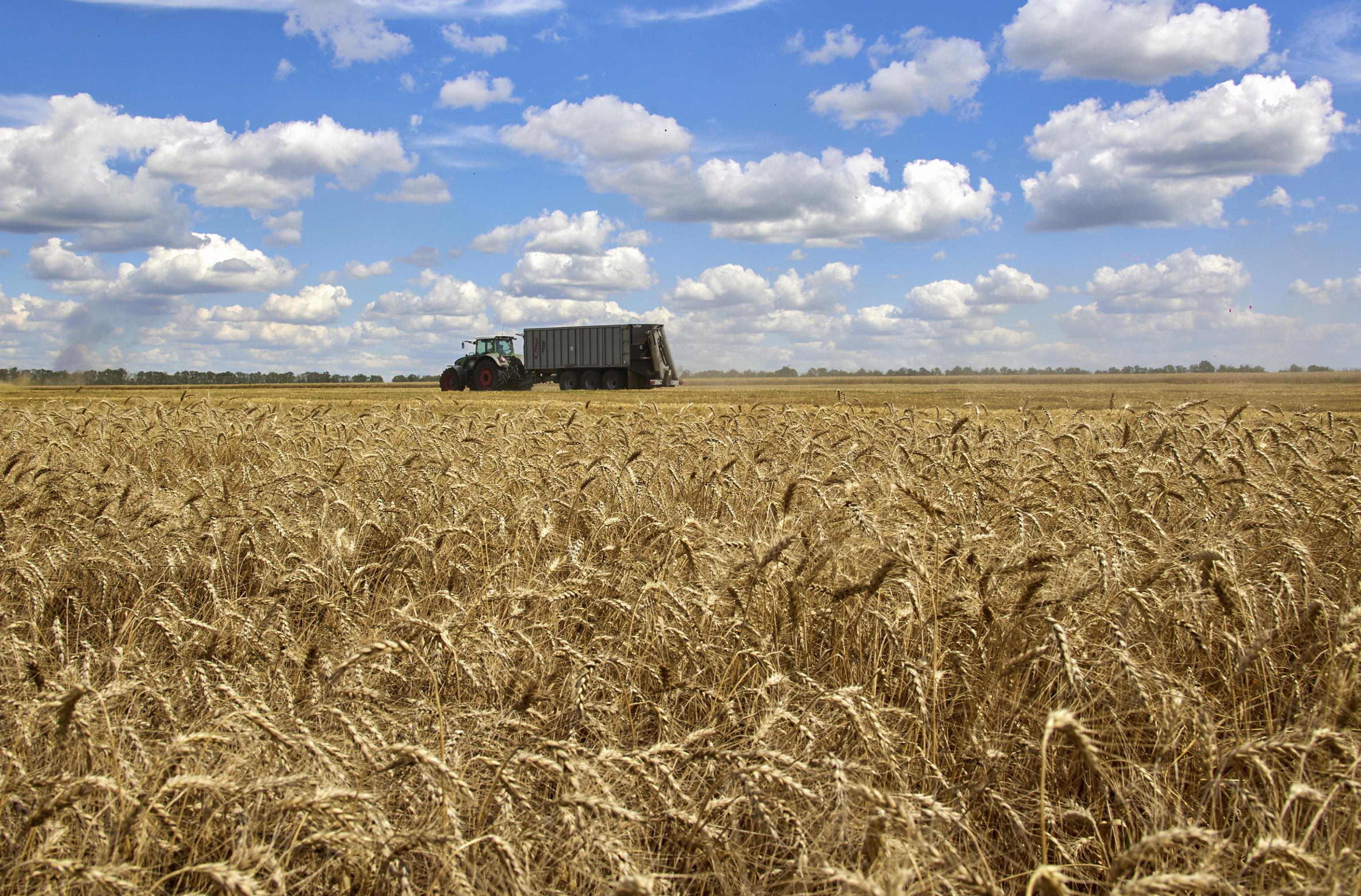 Crisi del grano: l’accordo