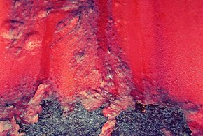 L’eruzione cutanea