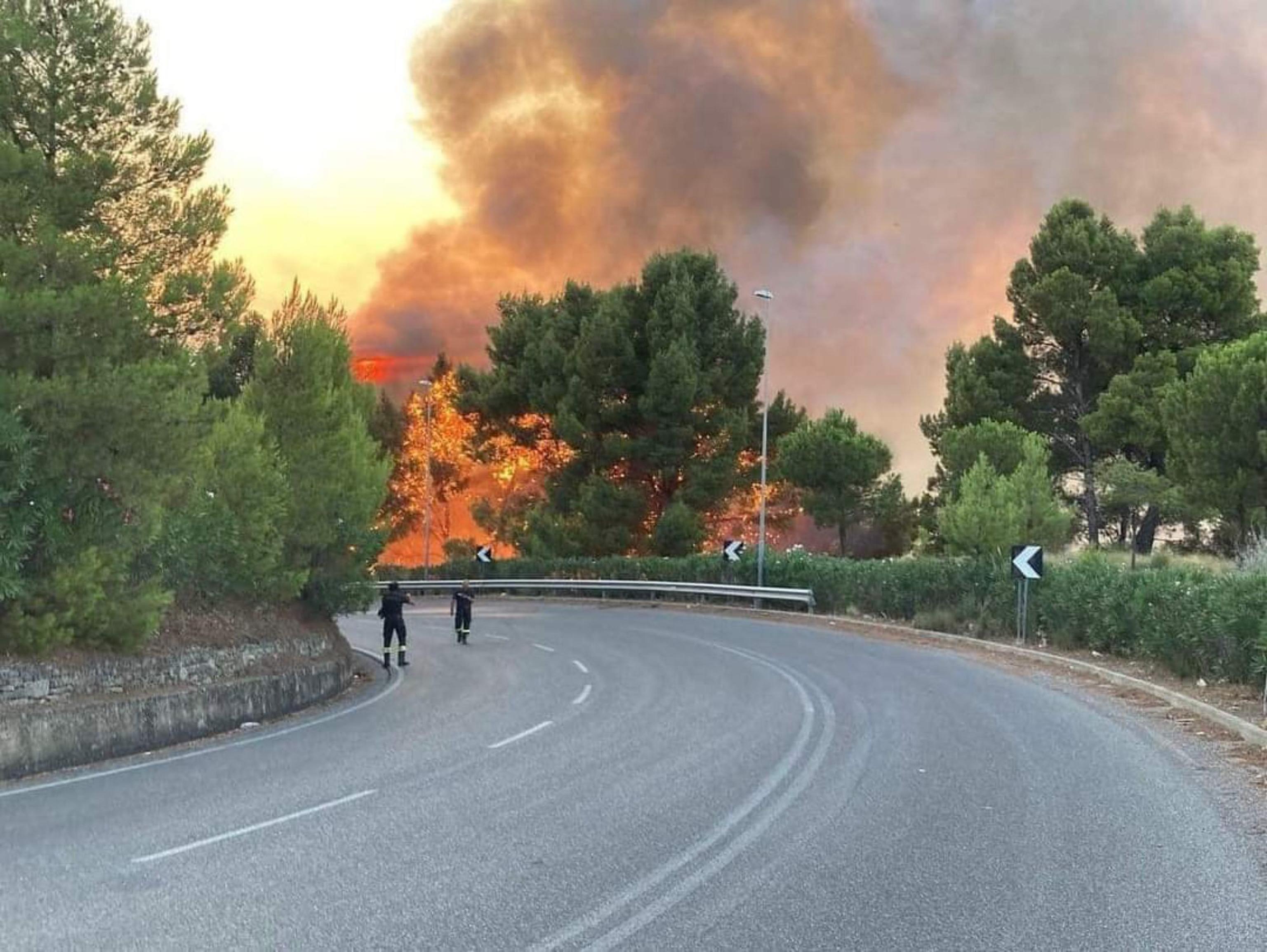 La denuncia di Coldiretti: “L’Italia è in fiamme”