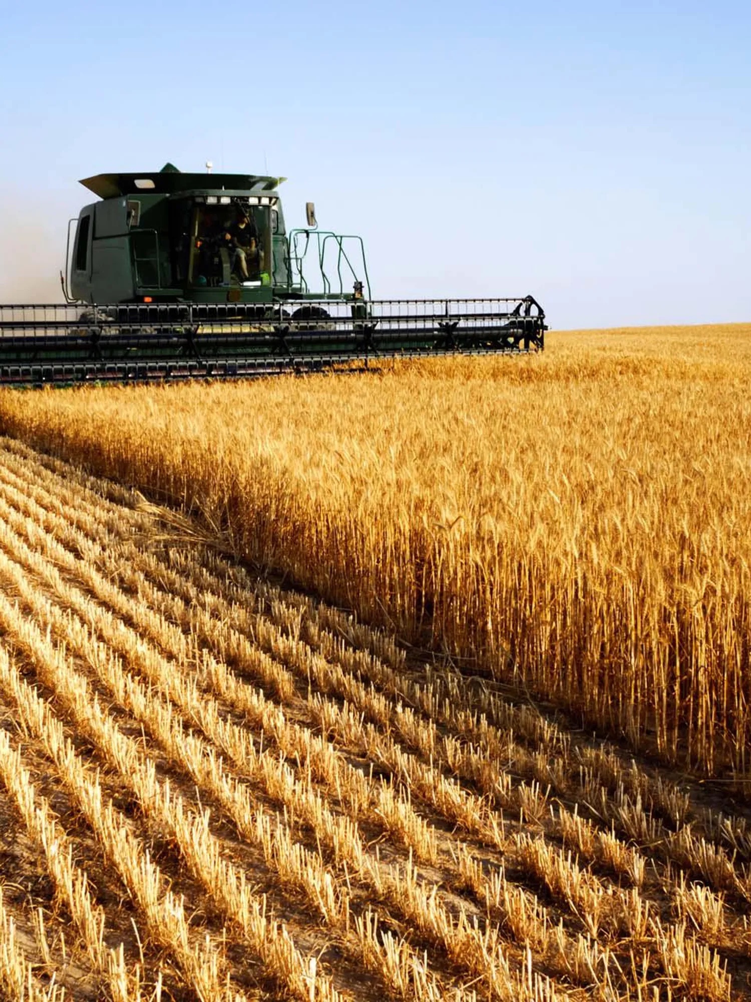 Abbandonare il dirigismo in agricoltura