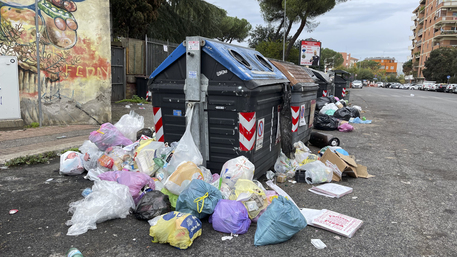 Il decoro dell’Ama