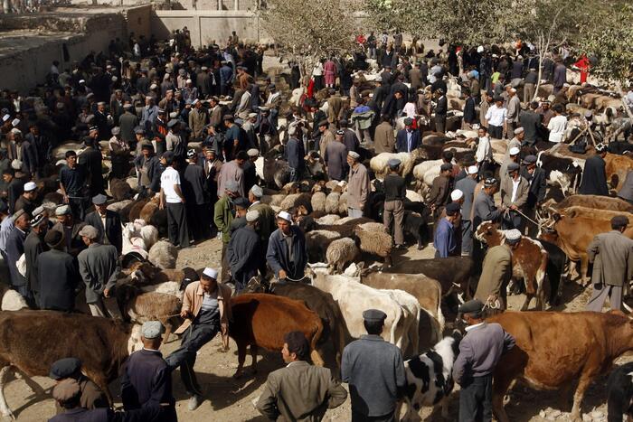 Onu accusa la Cina: nello Xinjiang crimini contro l’umanità