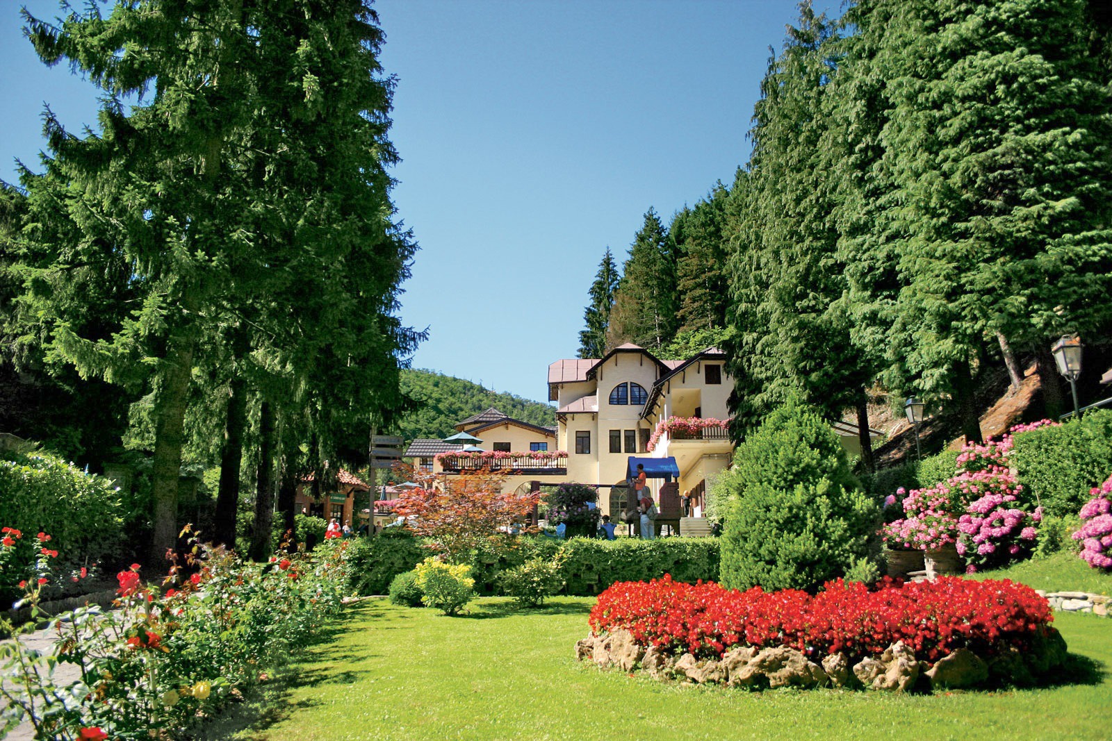 Salviamo le nostre imprese