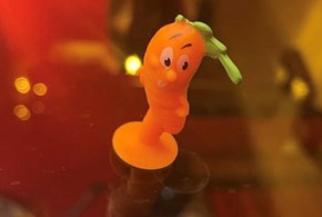 Appesi a una carota  