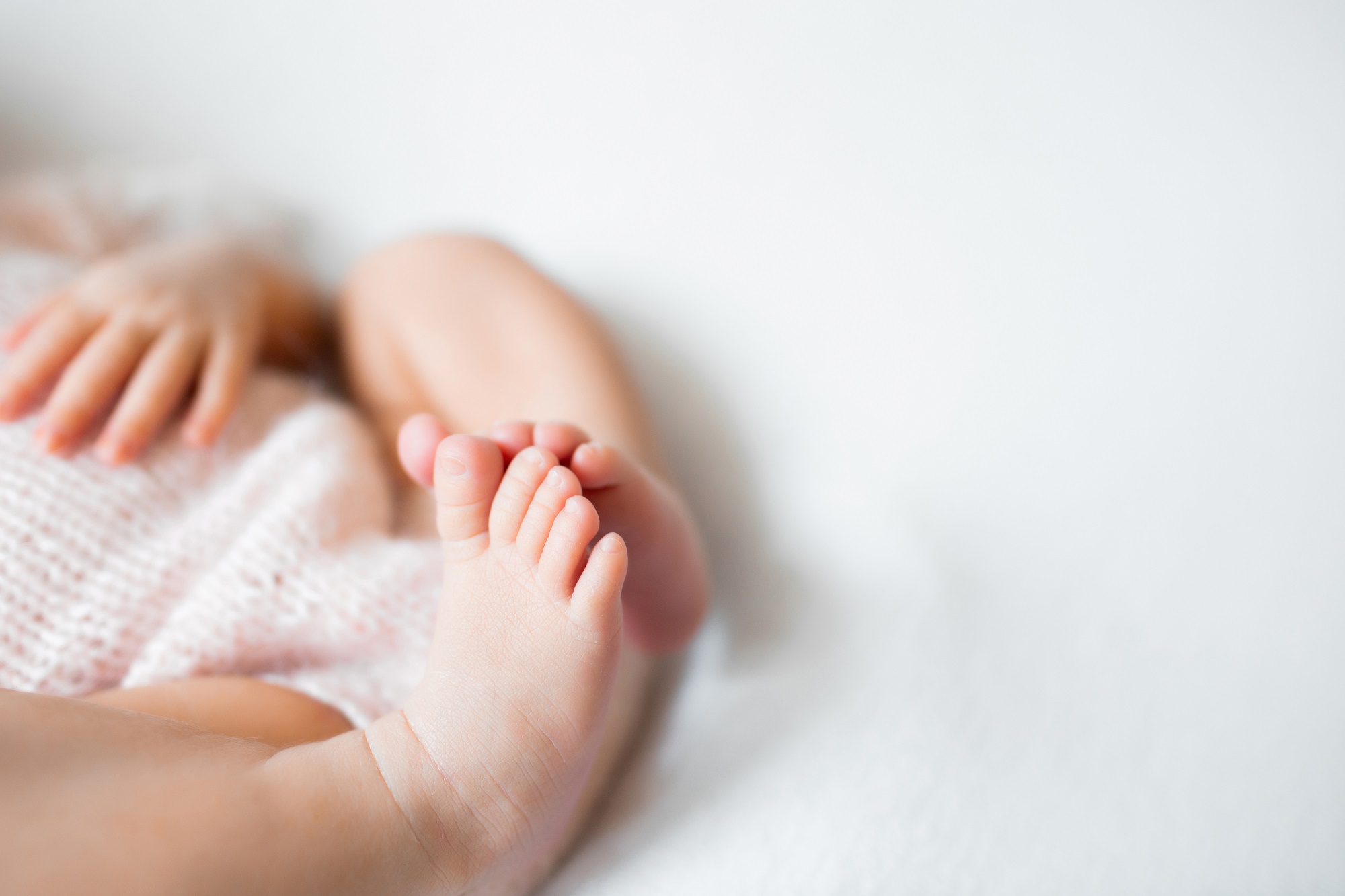 Il miracolo del neonato del Trapanese