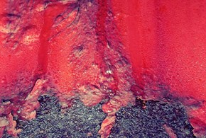 L’eruzione cutanea