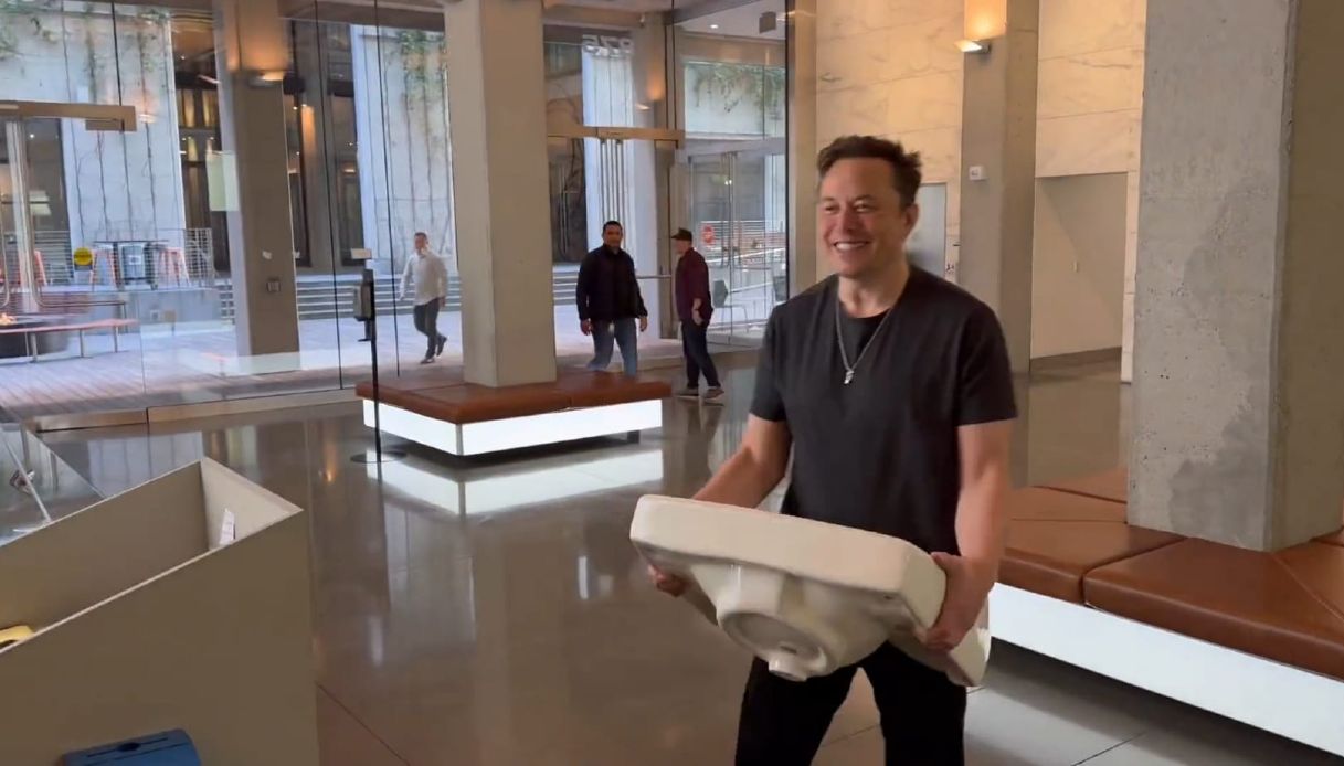 L’uccellino è stato liberato