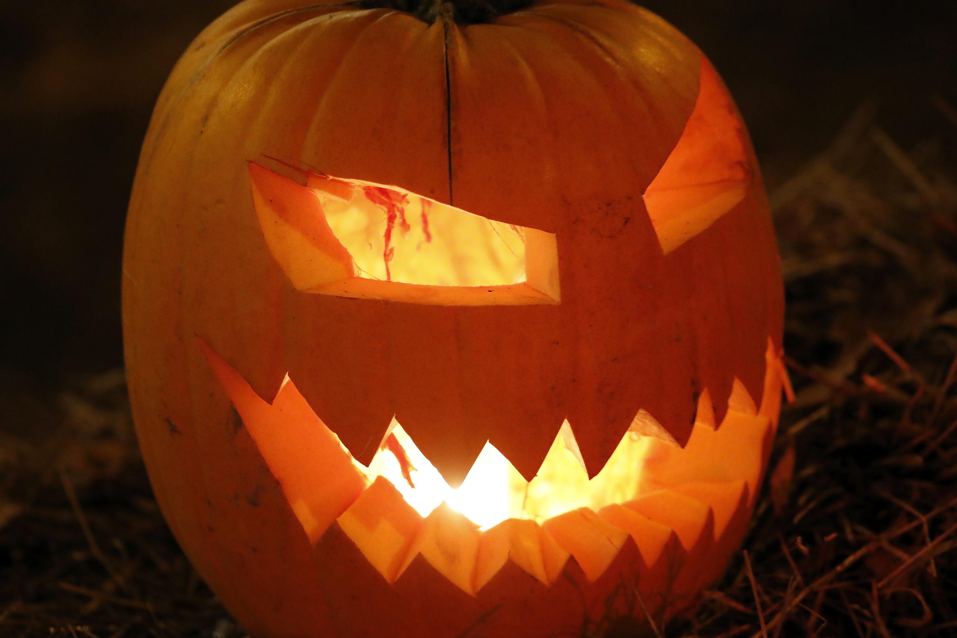 Halloween, i cybercriminali tentano di rubare i dati degli utenti