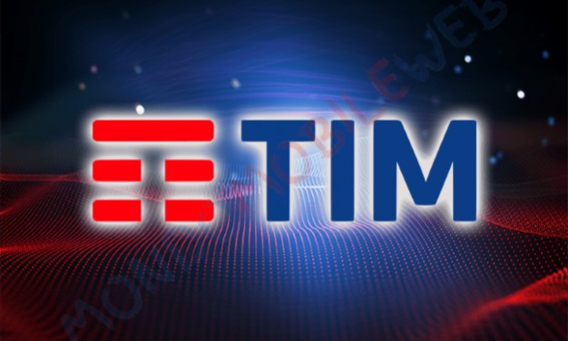 Rete: una e pubblica oppure due in concorrenza?