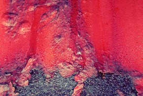 L’eruzione cutanea