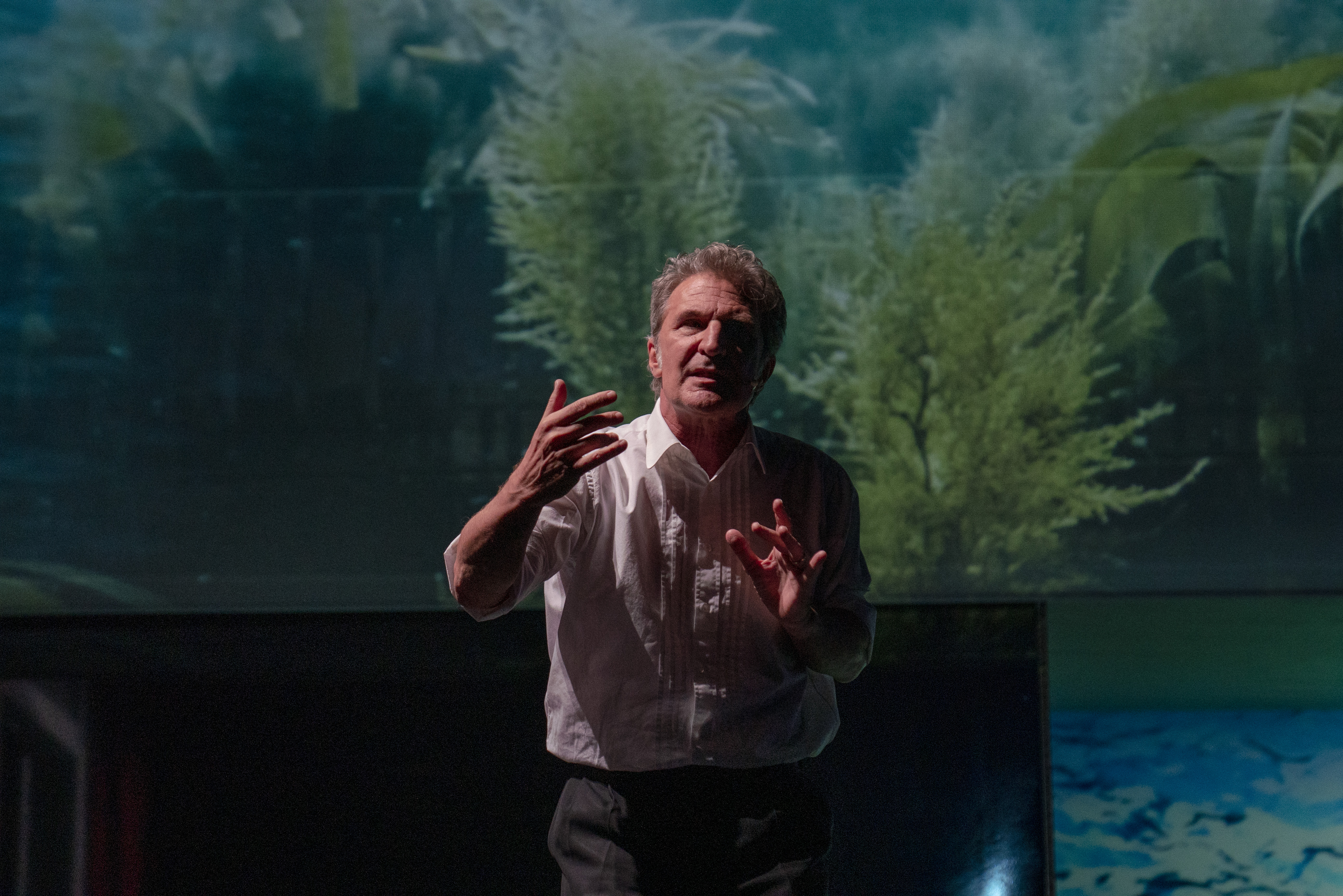 “Ferito a Morte”: la Napoli di La Capria