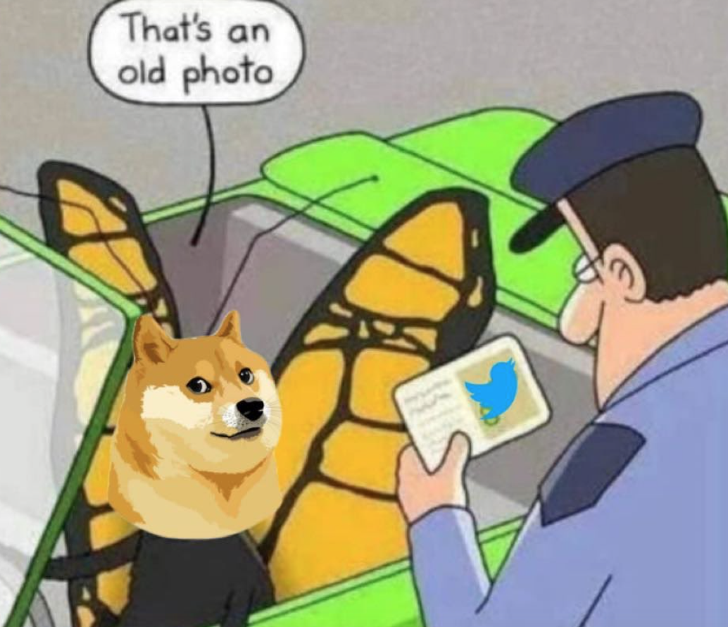 Dall’uccellino al cane: Musk cambia il logo di Twitter