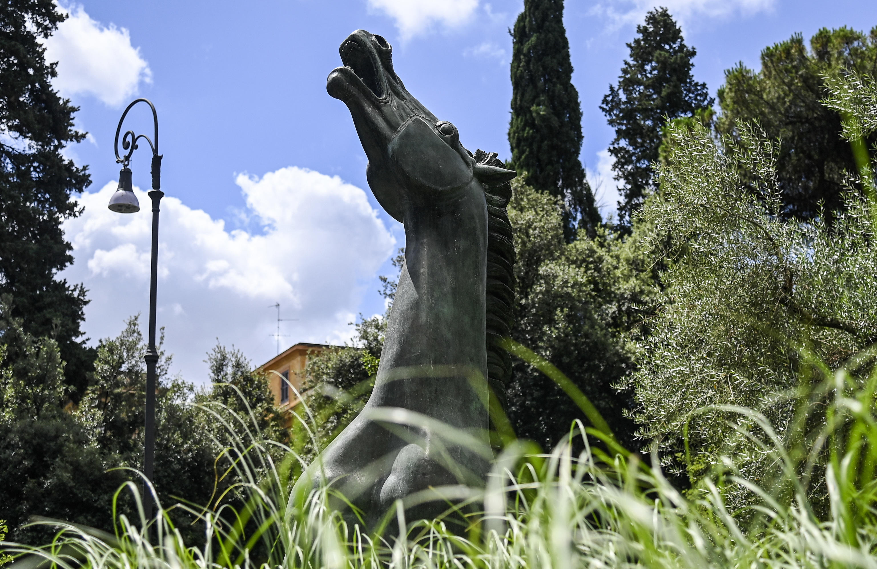 Alla rai arriva il tandem Sergio-Rossi