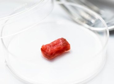Carne colturale: perché no?