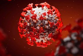 Pandemia e inchieste: quello che i virologi (e i loro adepti) non capiscono