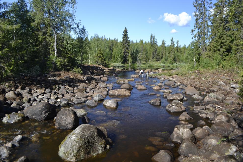 Clima, a Lisbona l’incontro sul progetto della Fondazione Einaudi