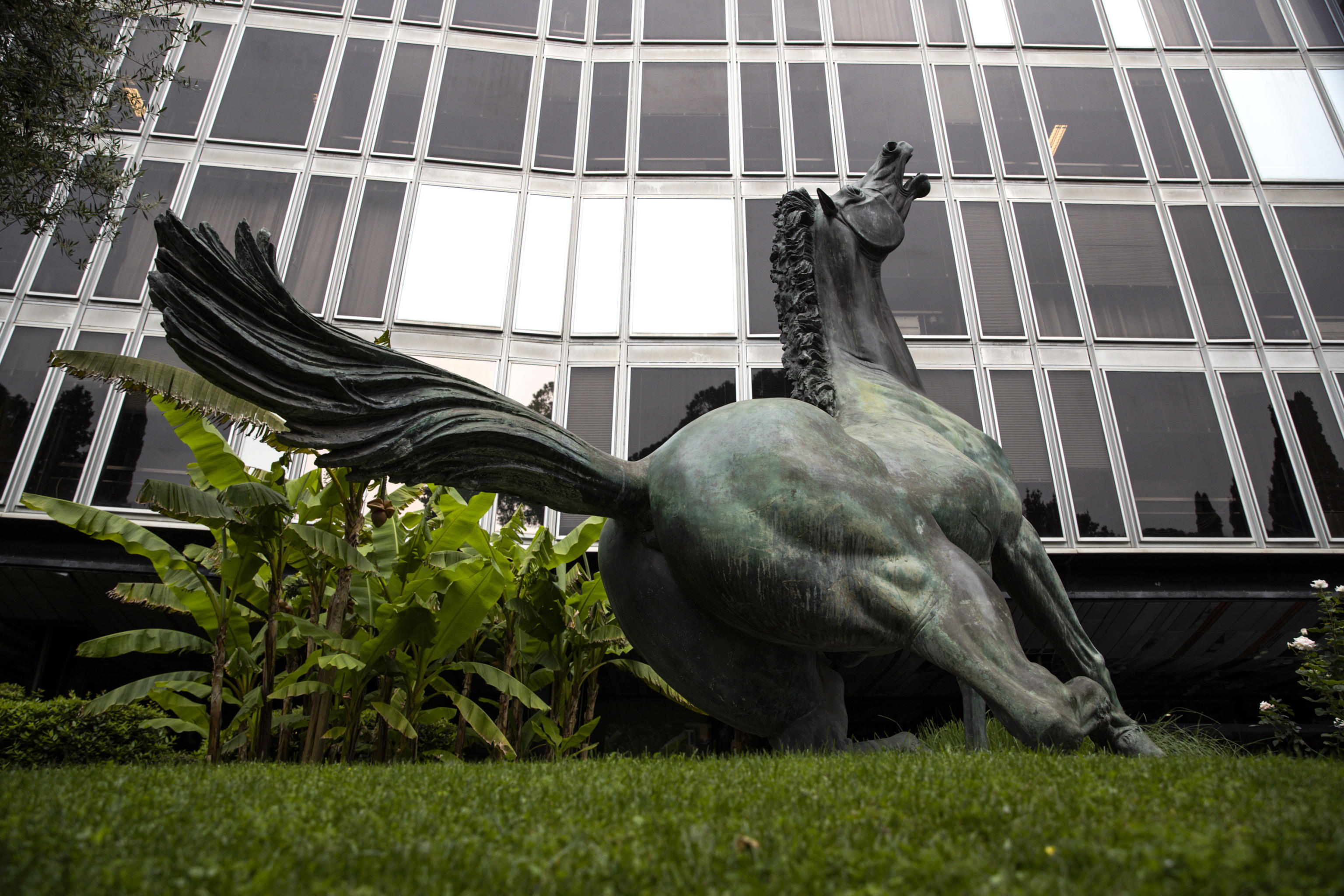 Il lungo percorso dei nuovi vertici Rai