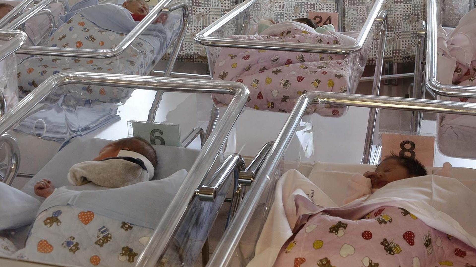 All’anagrafe (video)