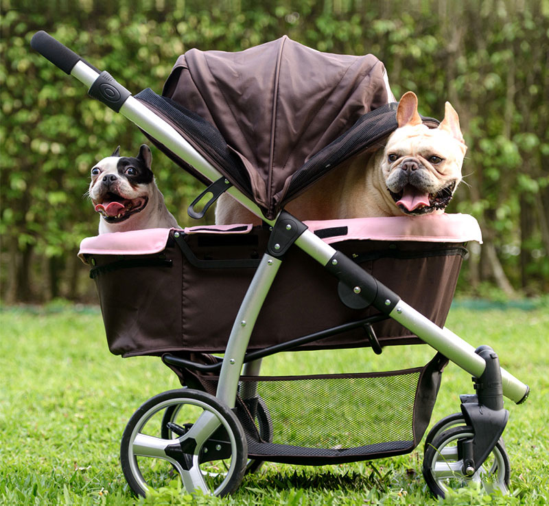 Animal love, ma non troppo