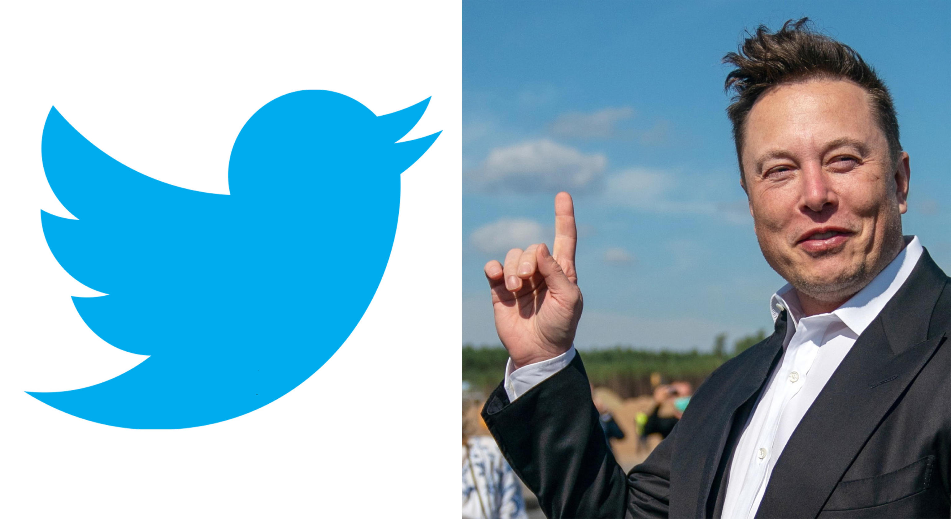 Twitter limita i post contro l’eccessivo “data scraping”