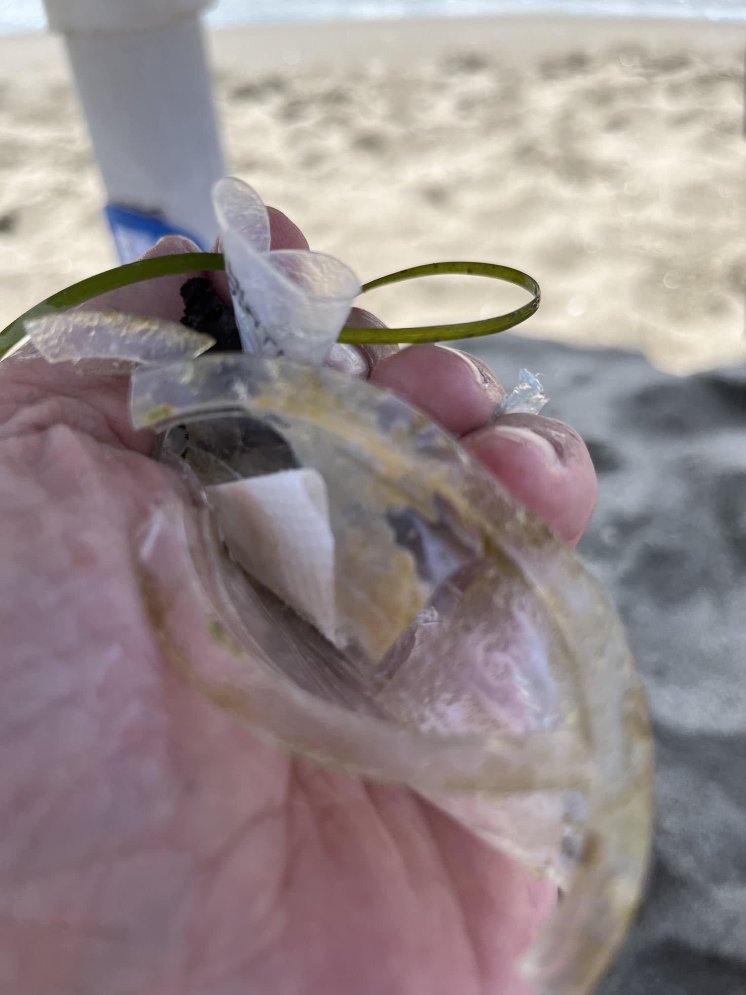 Togliete i social a Calenda