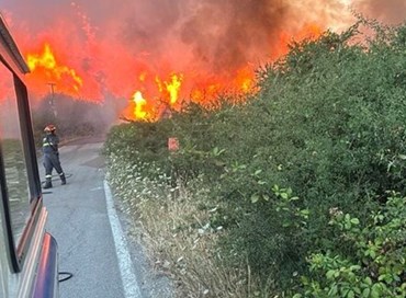 La Sicilia brucia, Governo ladro