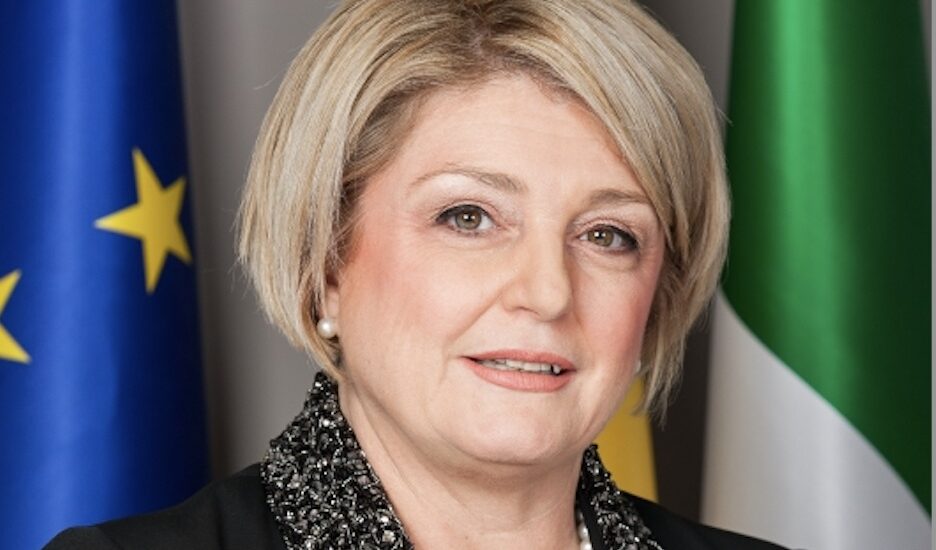 Reddito di cittadinanza, Calderone: “Polemiche costruite”