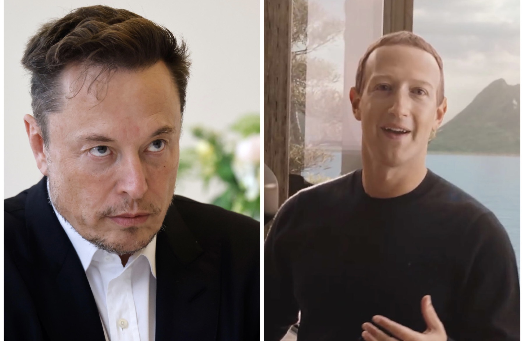 Match Musk-Zuckerberg: forse c’è la data