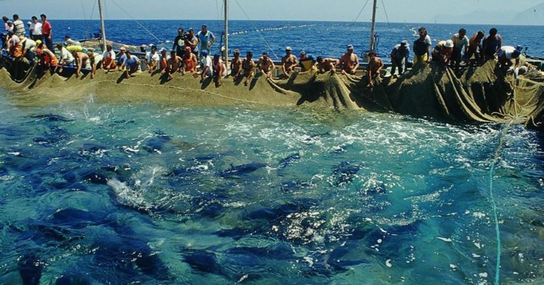 “L’ultimo rais di Favignana”, un racconto epico e appassionato