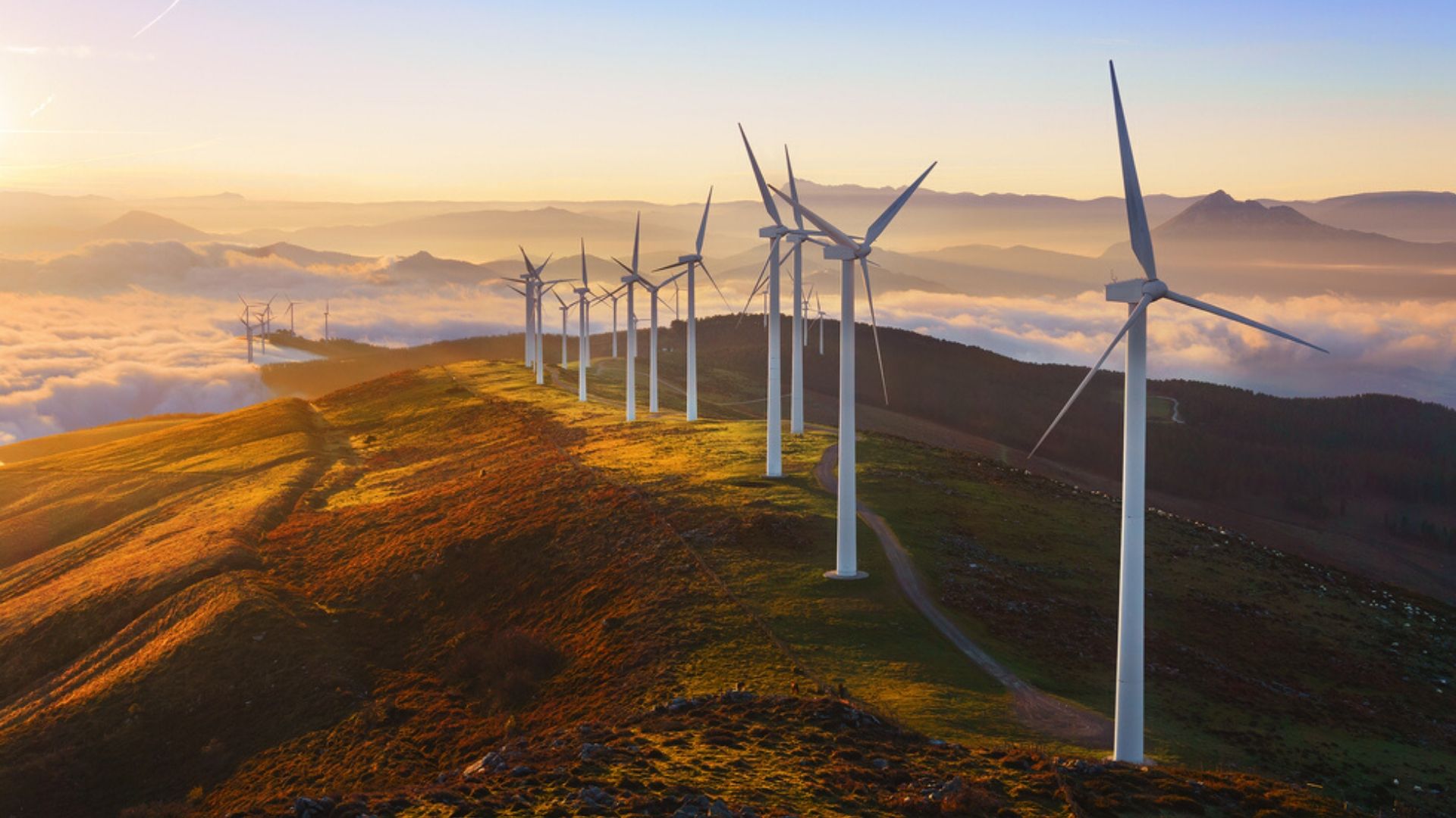 La crescita dell’eolico offshore e le nuove opportunità energetiche