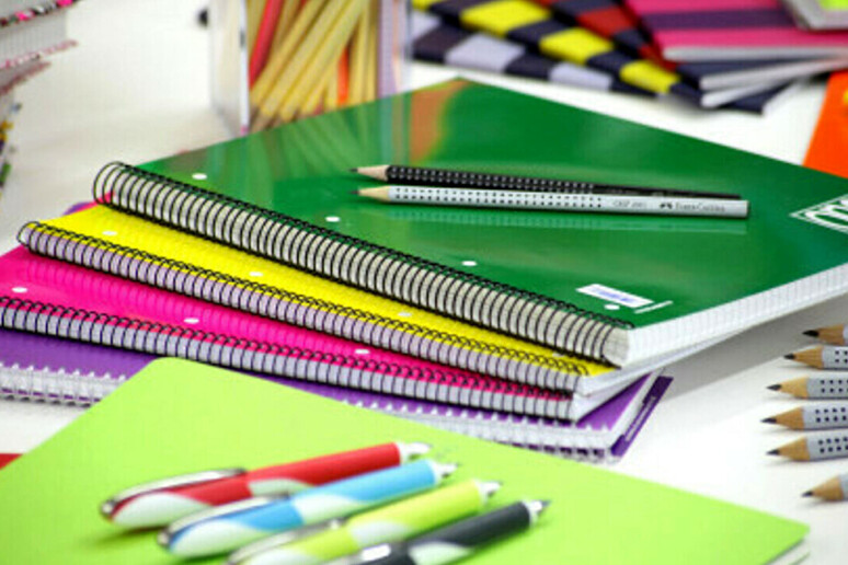 Caro diario… che caro scuola!