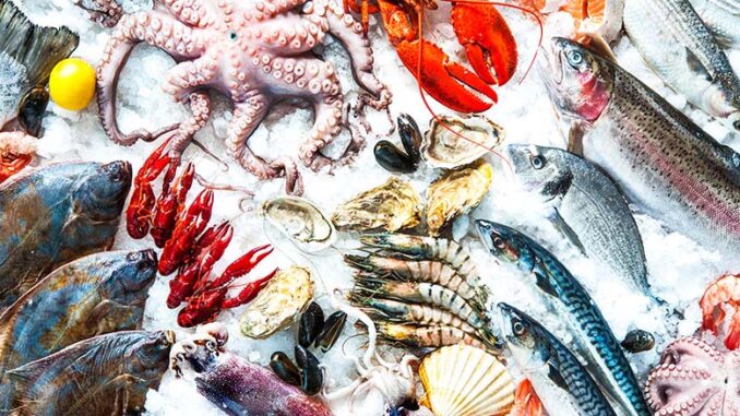 A Singapore si scrive il futuro dell’industria ittica asiatica