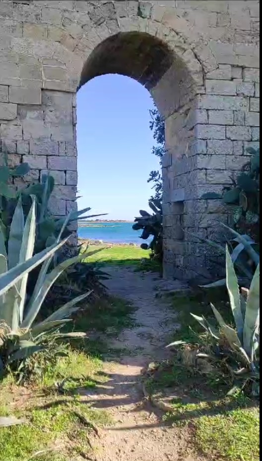 Un mare di lavori (Video)