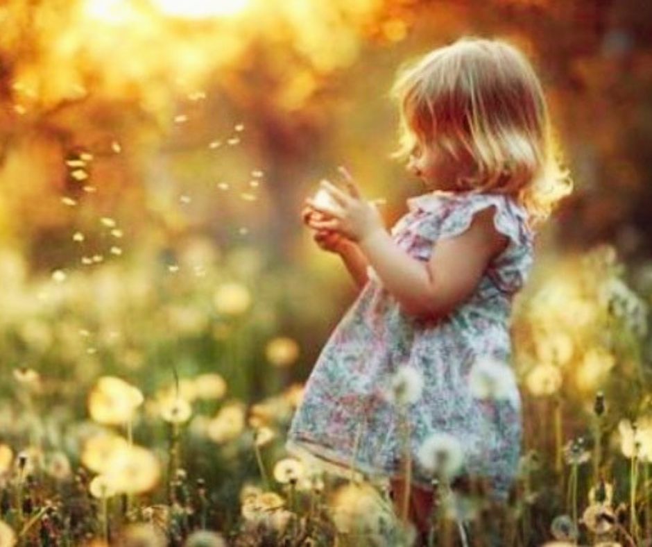 “Il Vocabolario della Felicità”: pillole di emozioni (Video)