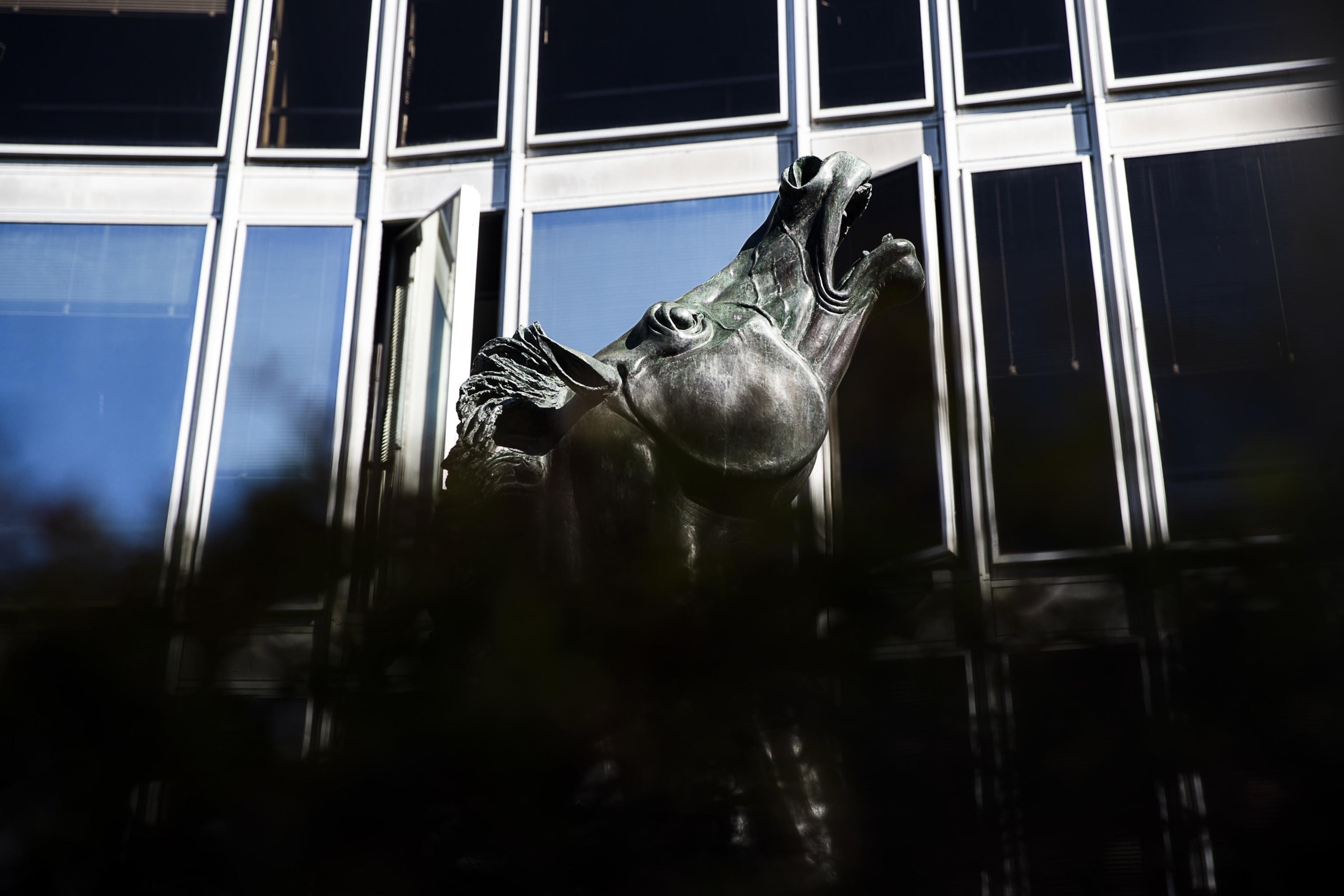 Nuova realtà in Rai: contro il sindacato unico