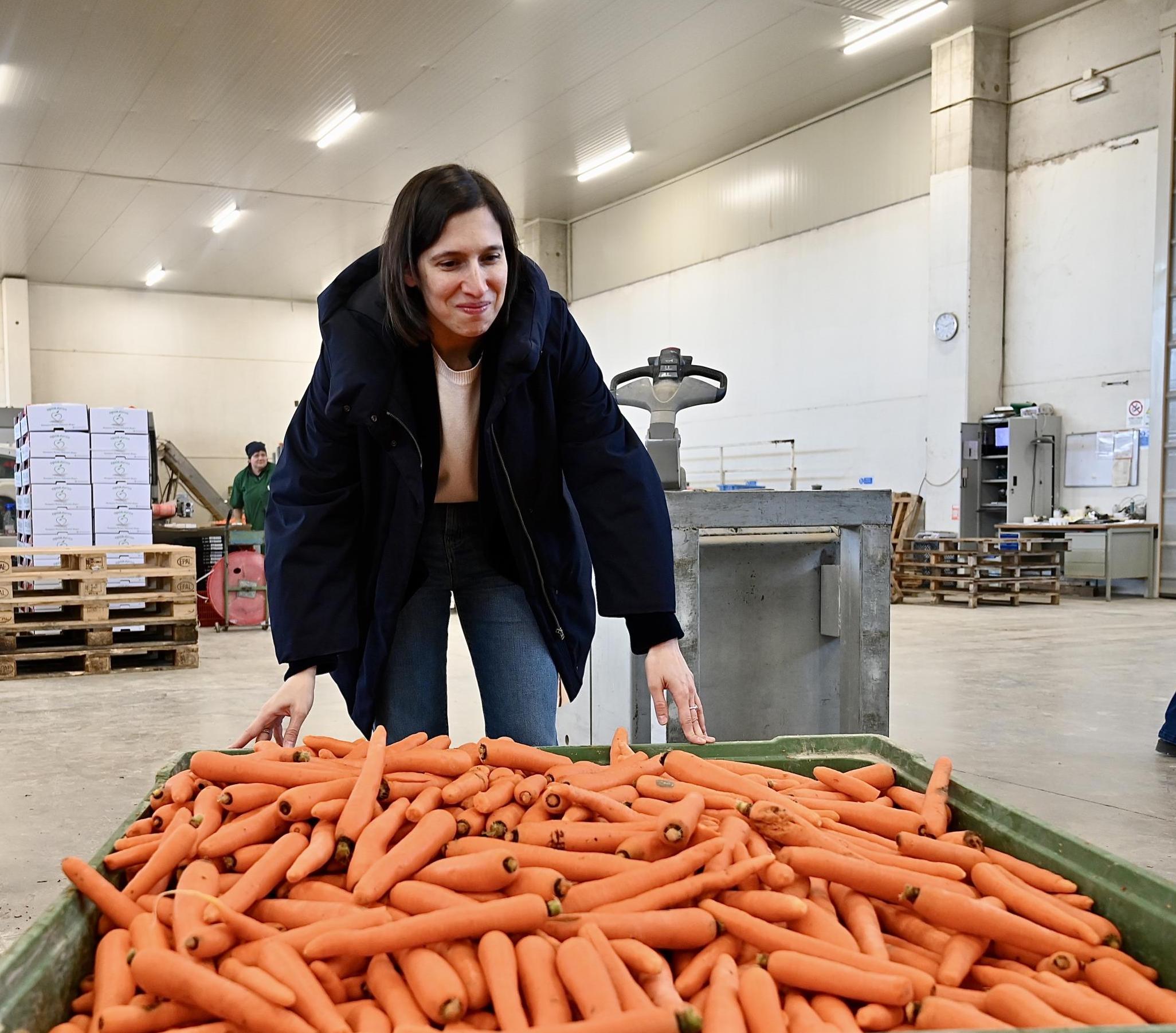 Europee: l’ultima tentazione di Schlein