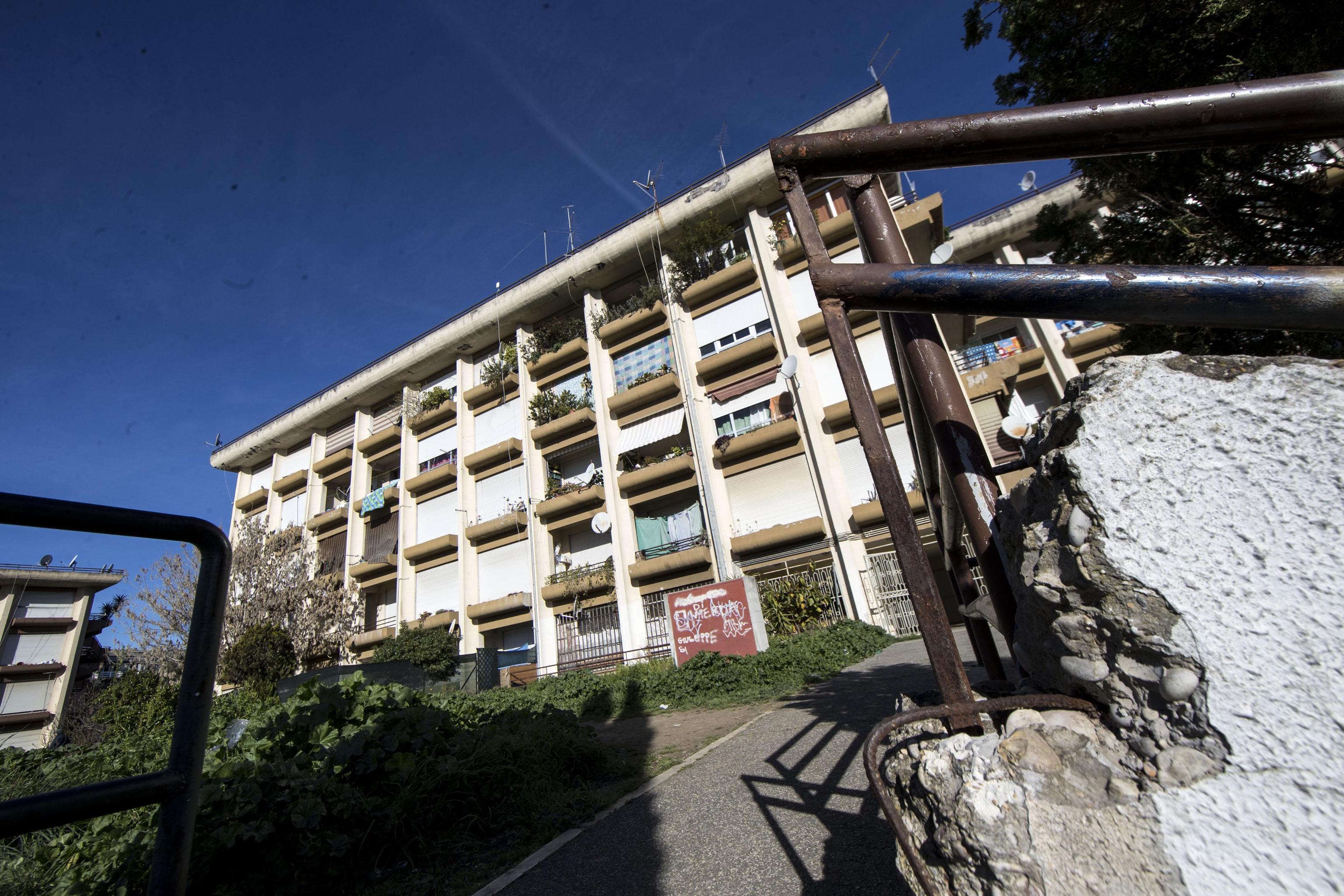 La rigenerazione di Bastogi