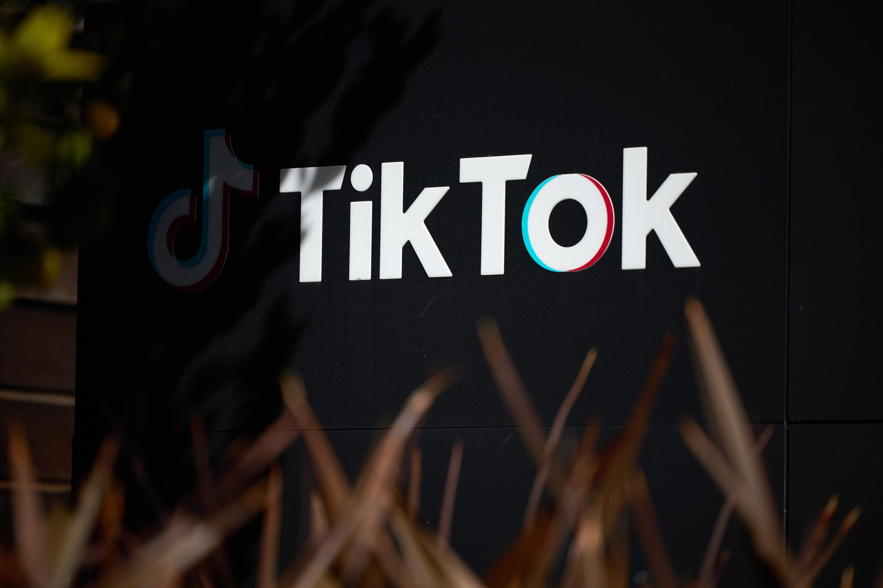 Antitrust multa TikTok: sanzione da 10 milioni di euro