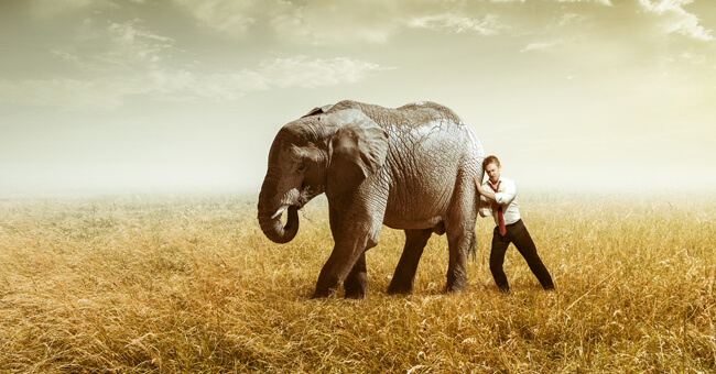 “Il Vocabolario della Felicità”: pillole di emozioni (Video)