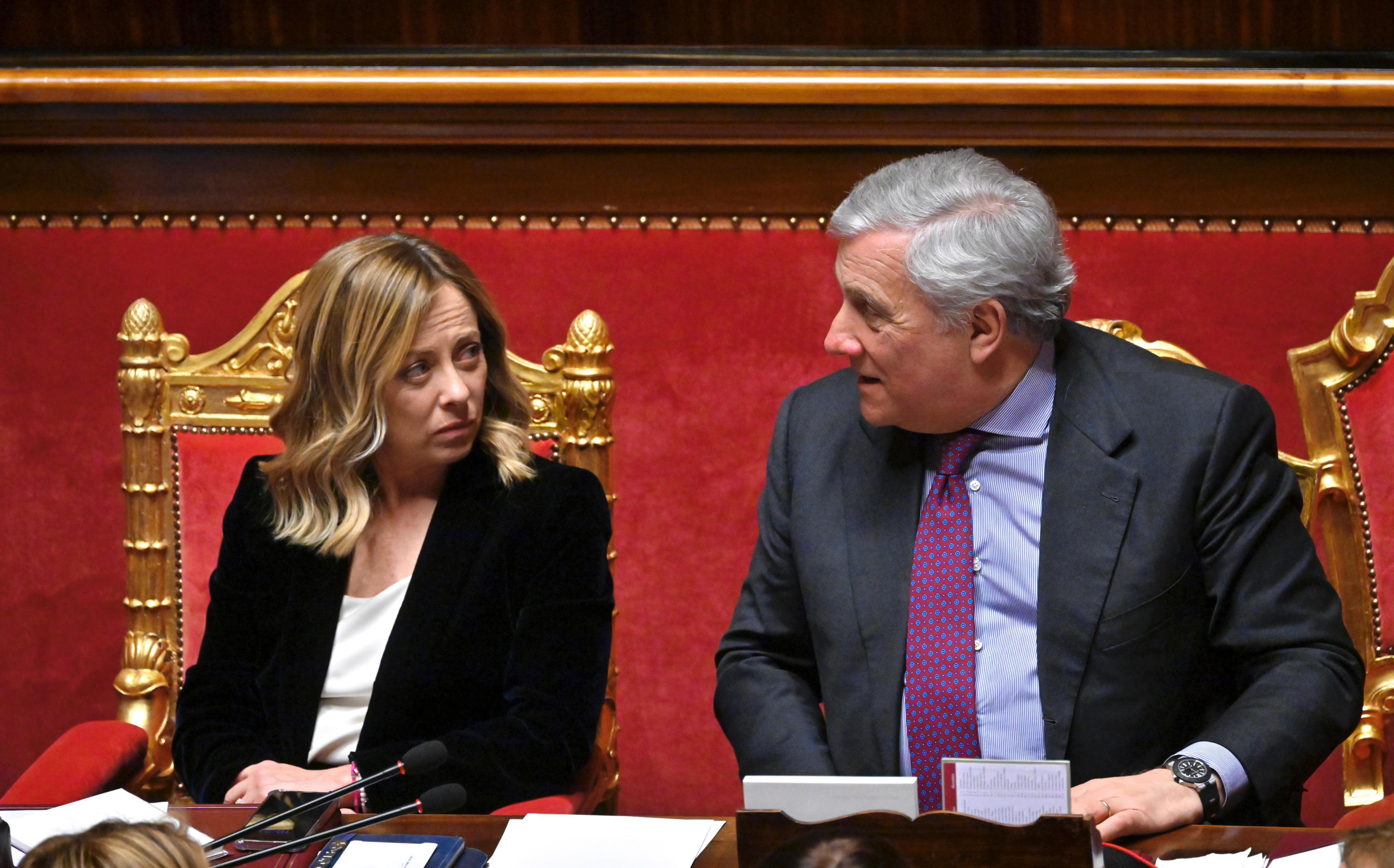 Europee, in settimana le candidature ufficiali di Meloni, Tajani e Schlein
