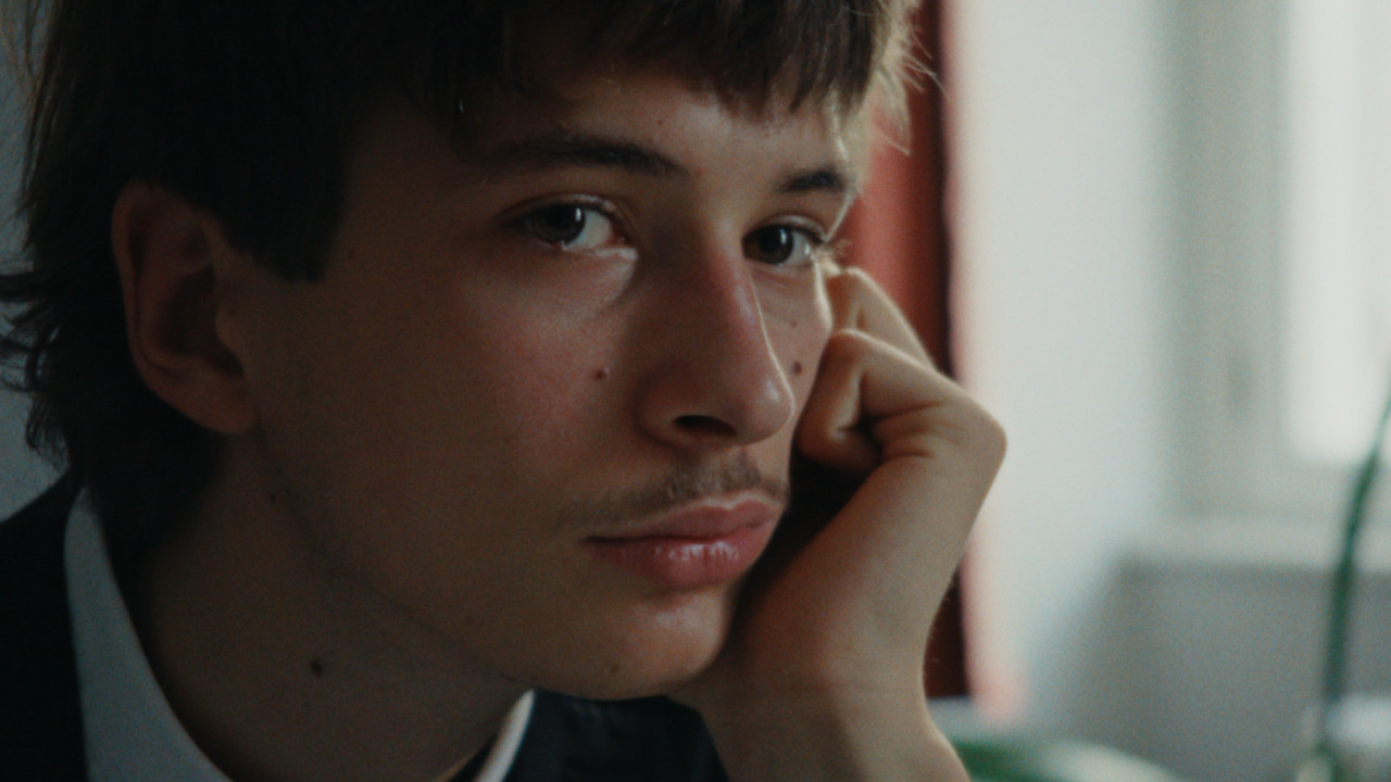 “Una spiegazione per tutto”: la coccarda fatale