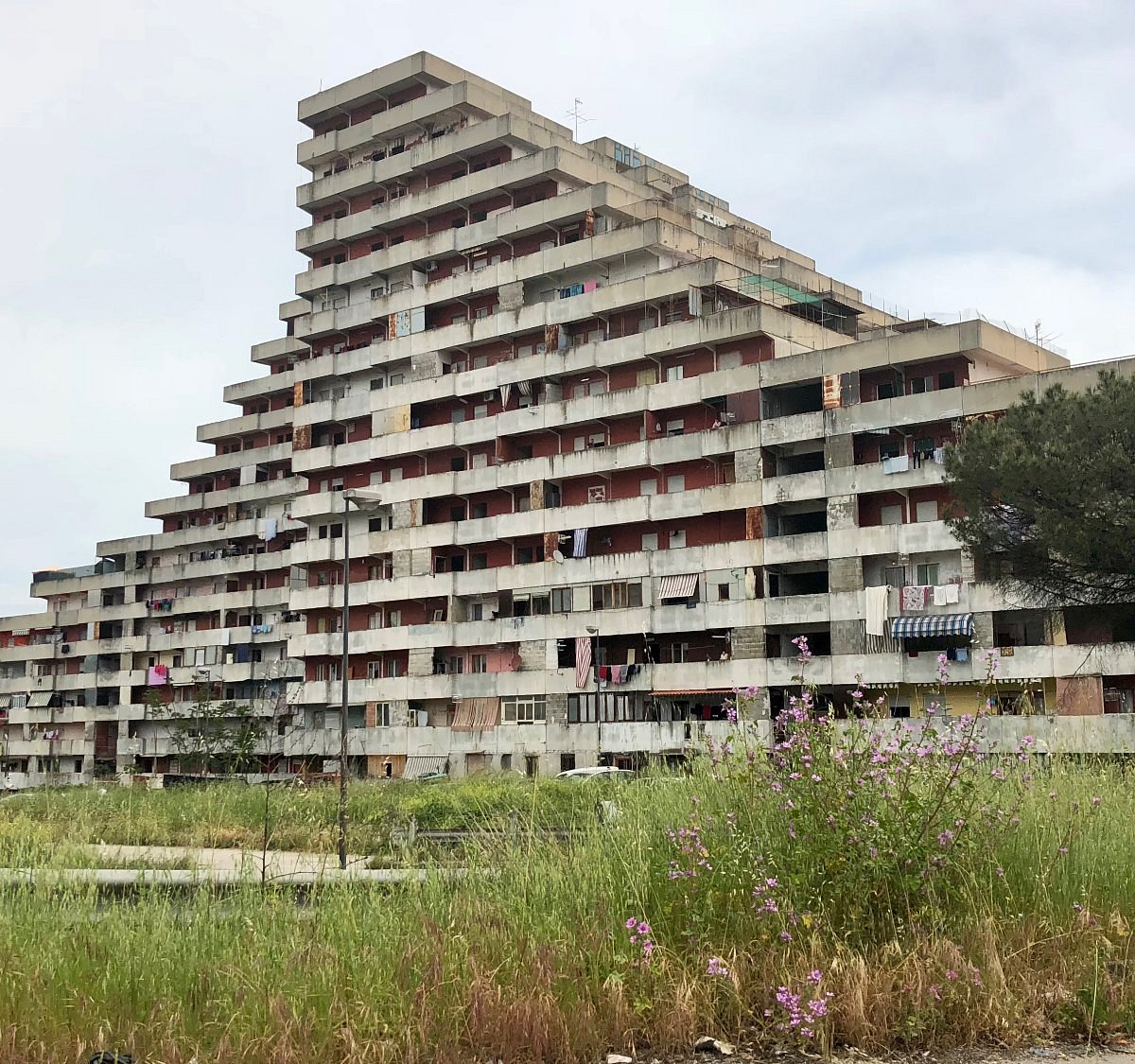 Scampia voli a Bruxelles: cercasi liberali dal basso (Video)