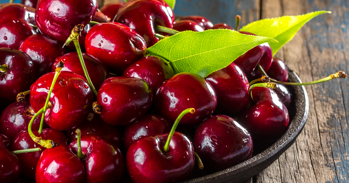 Taccuino Liberale #1